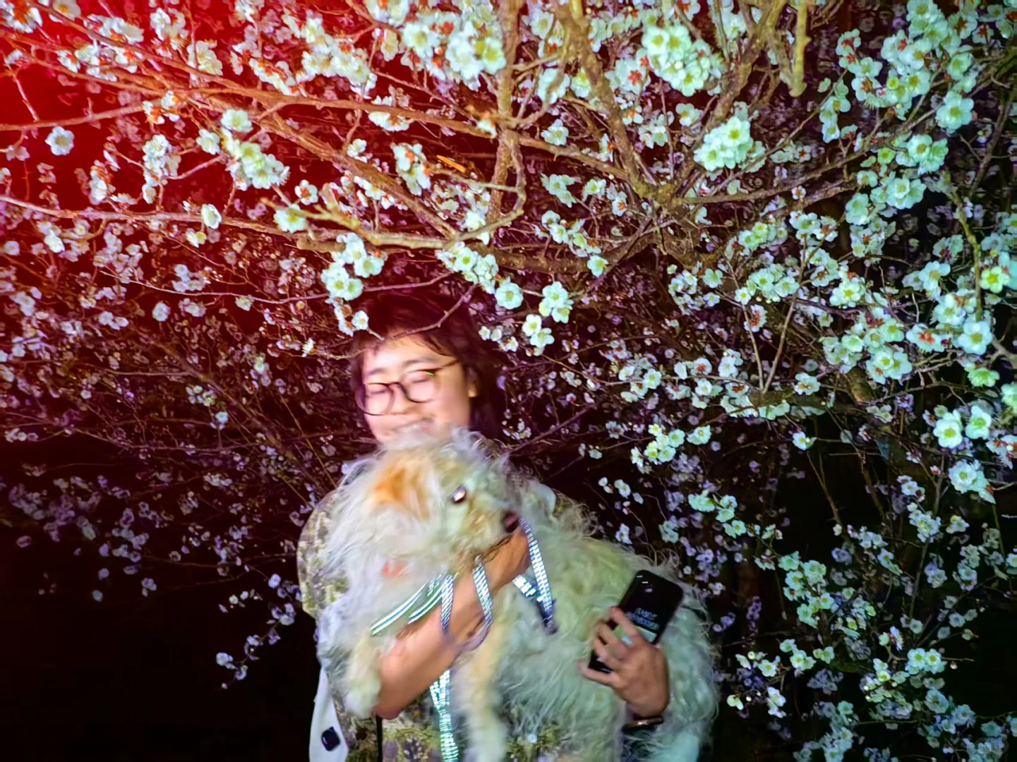 龙抬头，带狗狗拜财神，登缥缈峰