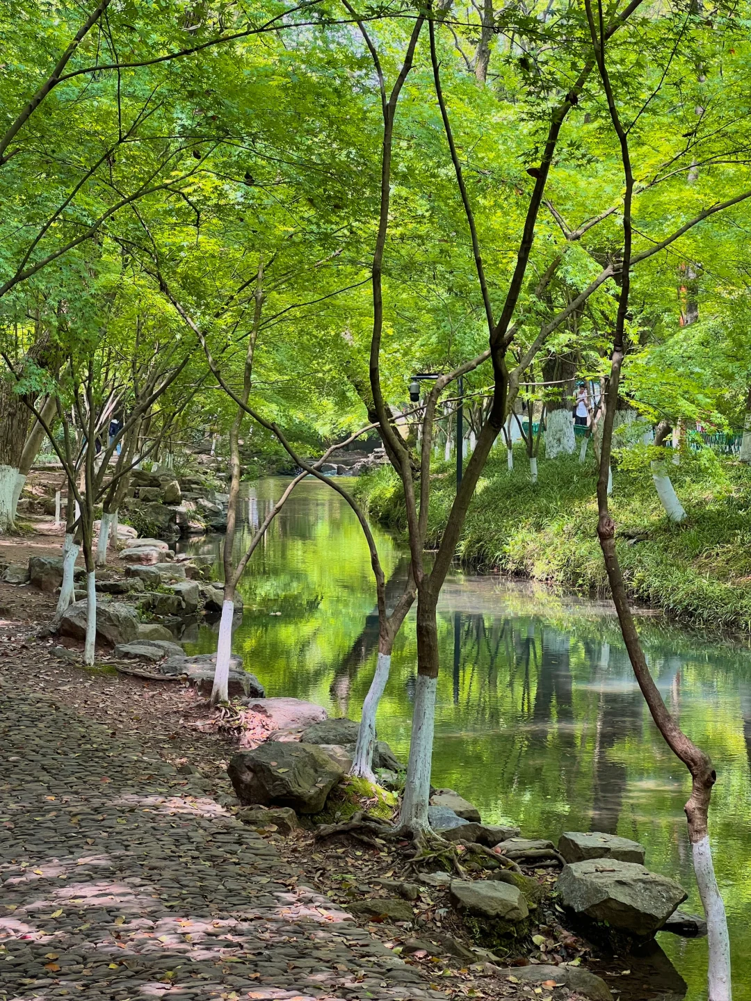 以为西湖已经够美了，直到我去了…🌿