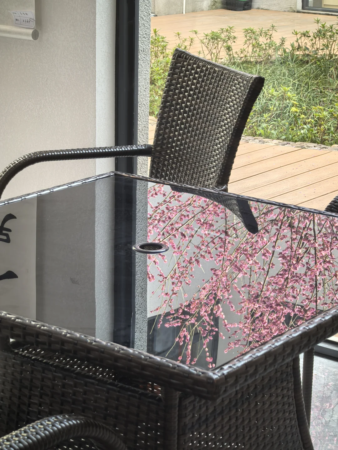 浙江绍兴|柯桥香雪梅海