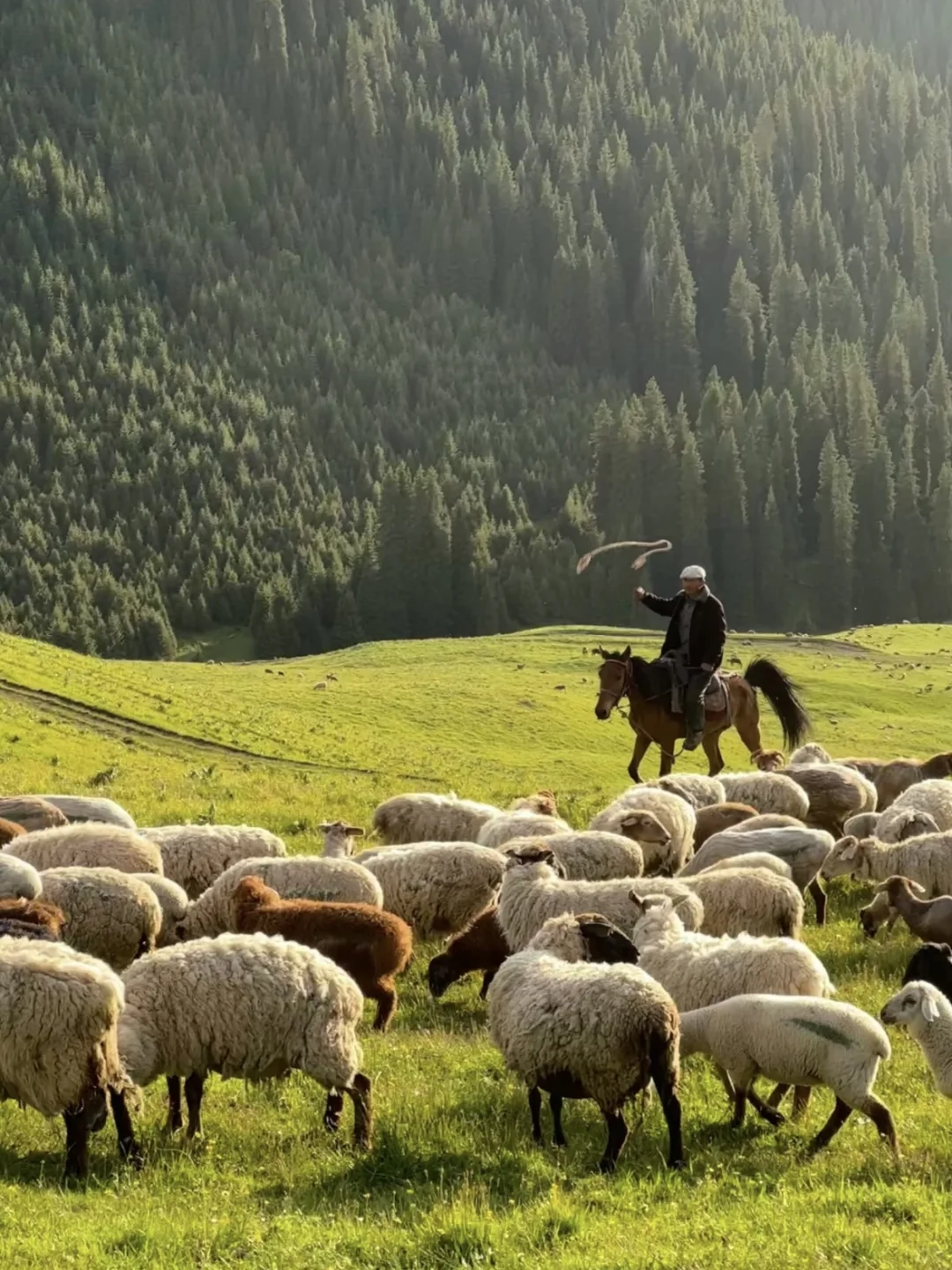 强烈建议来新疆一定要至少住一晚景区！！