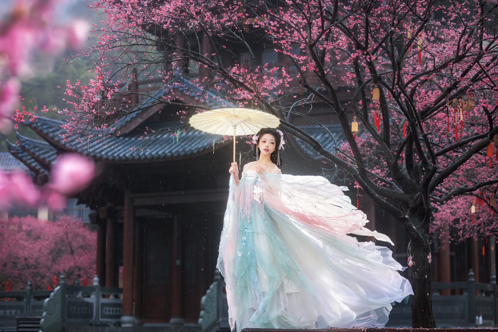 “风有约，花不误”仿佛来了梅花乡