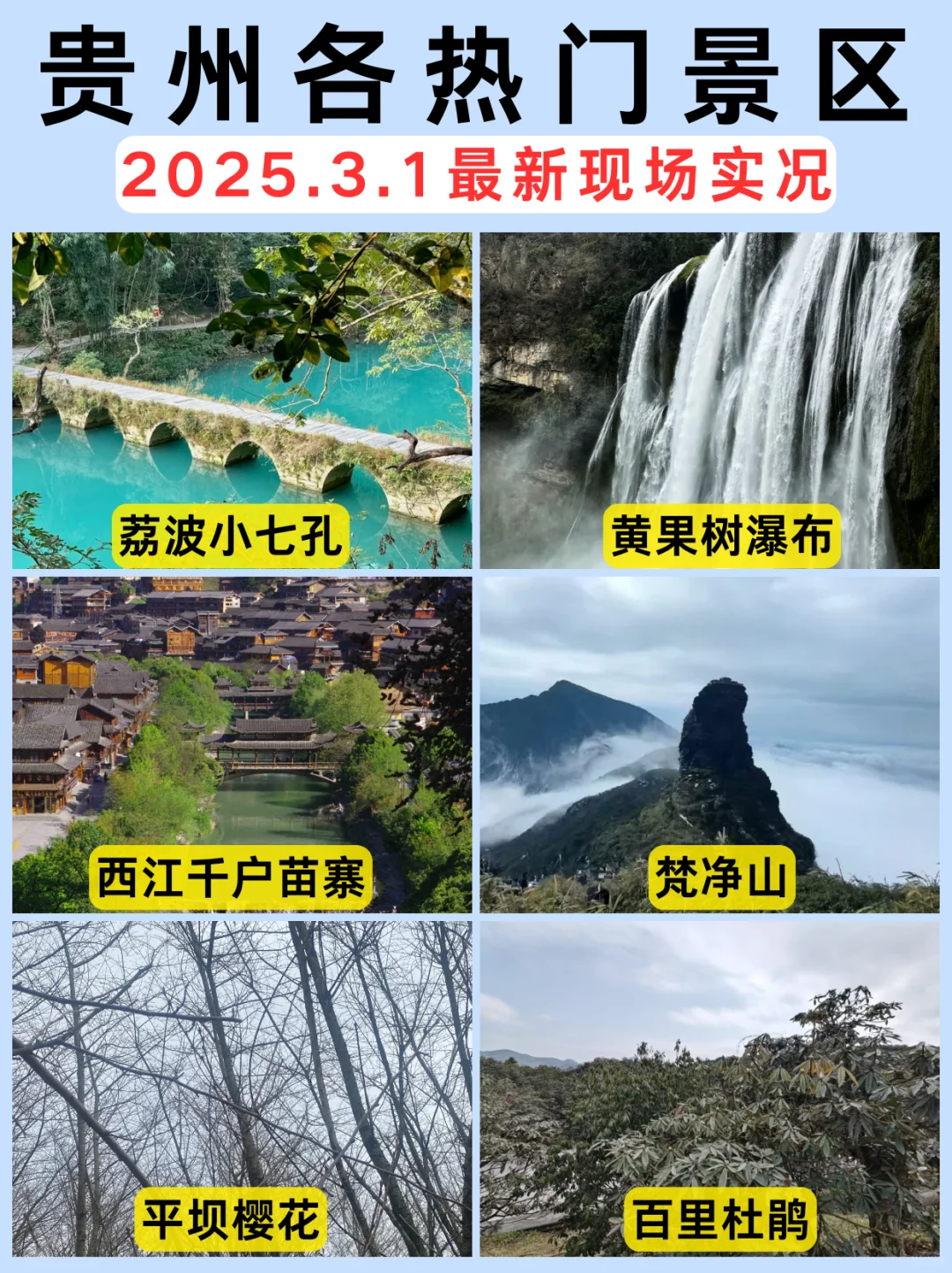 🌸【3月1日贵州热门景区实况】🌸