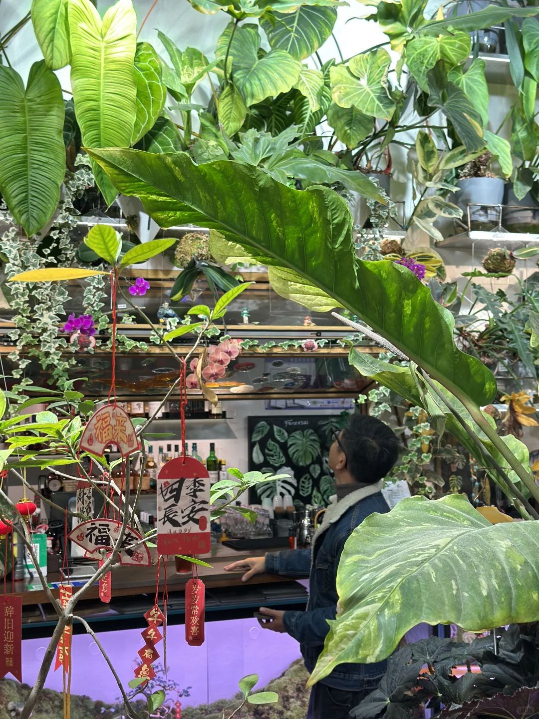 旅游攻略🎫广州华南植物园门票！可当现金用！