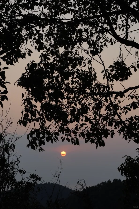 龙抬头，带狗狗拜财神，登缥缈峰