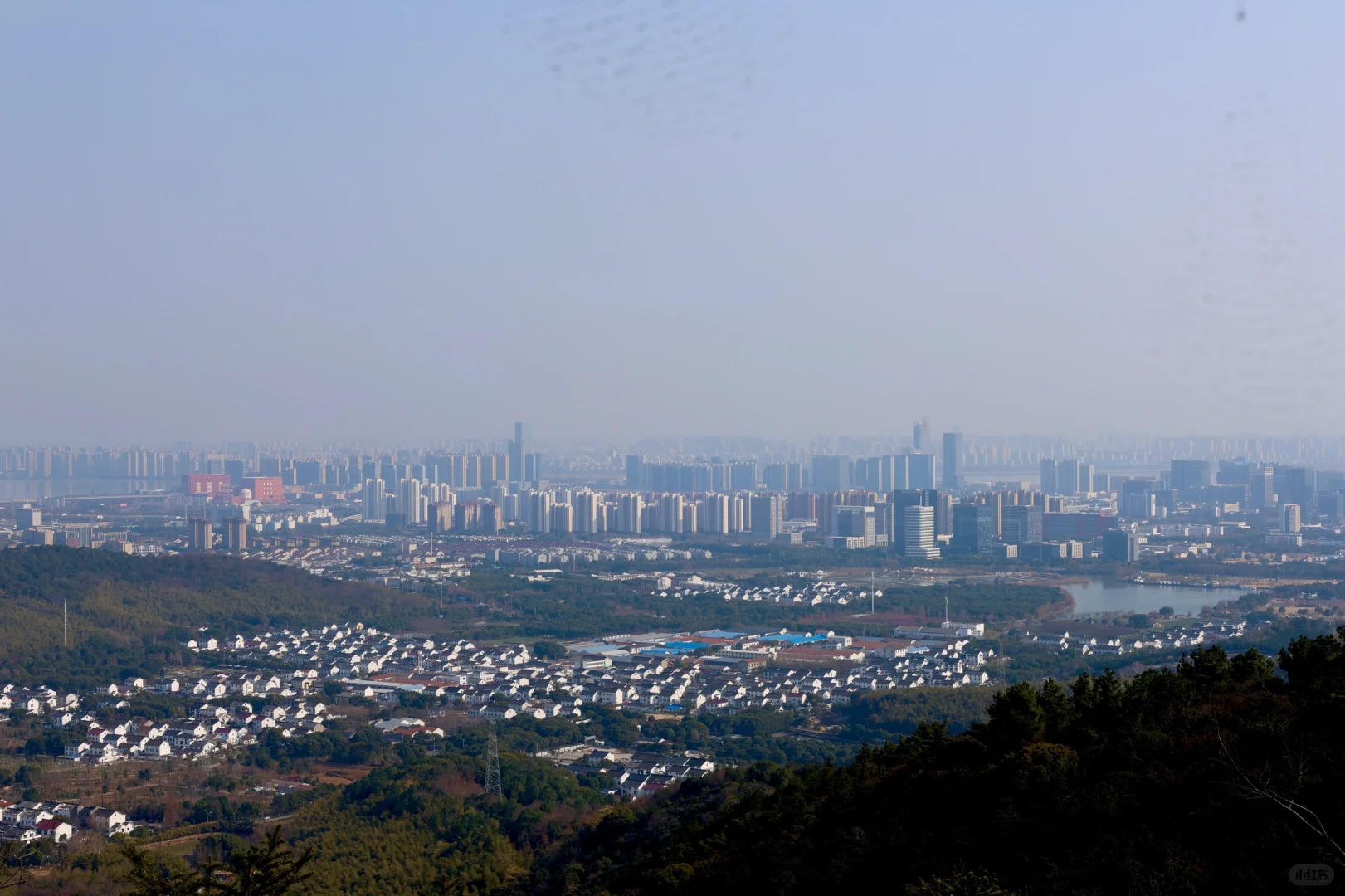 吸绿吸氧日常🍃