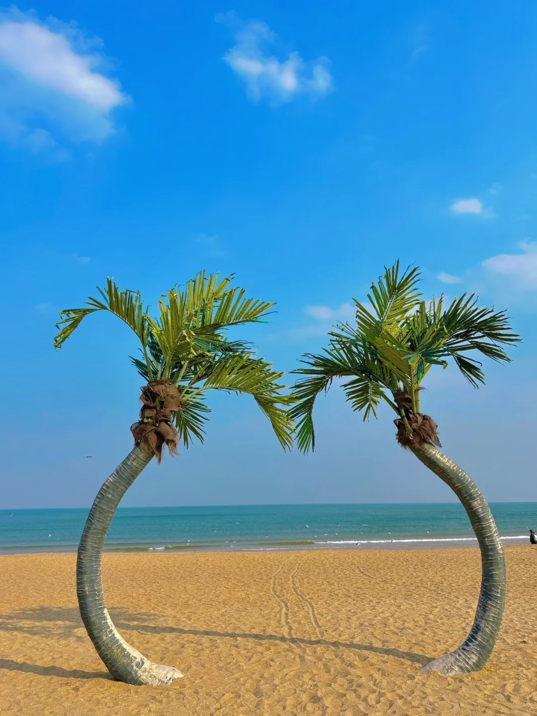 三刷日照，旅游攻略已经Next level....