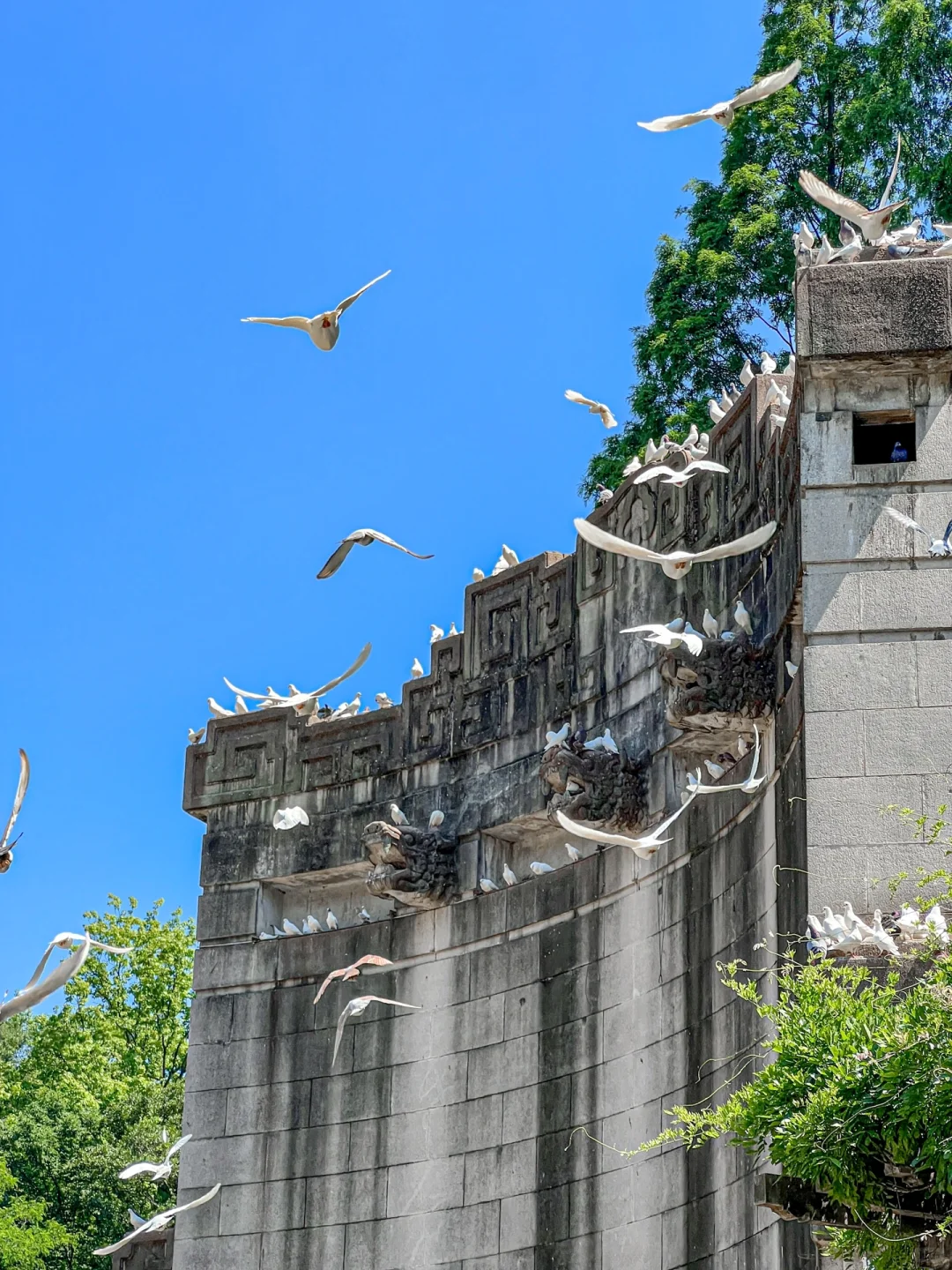 为了这❶❽张图，我特意去了一趟南京‼️