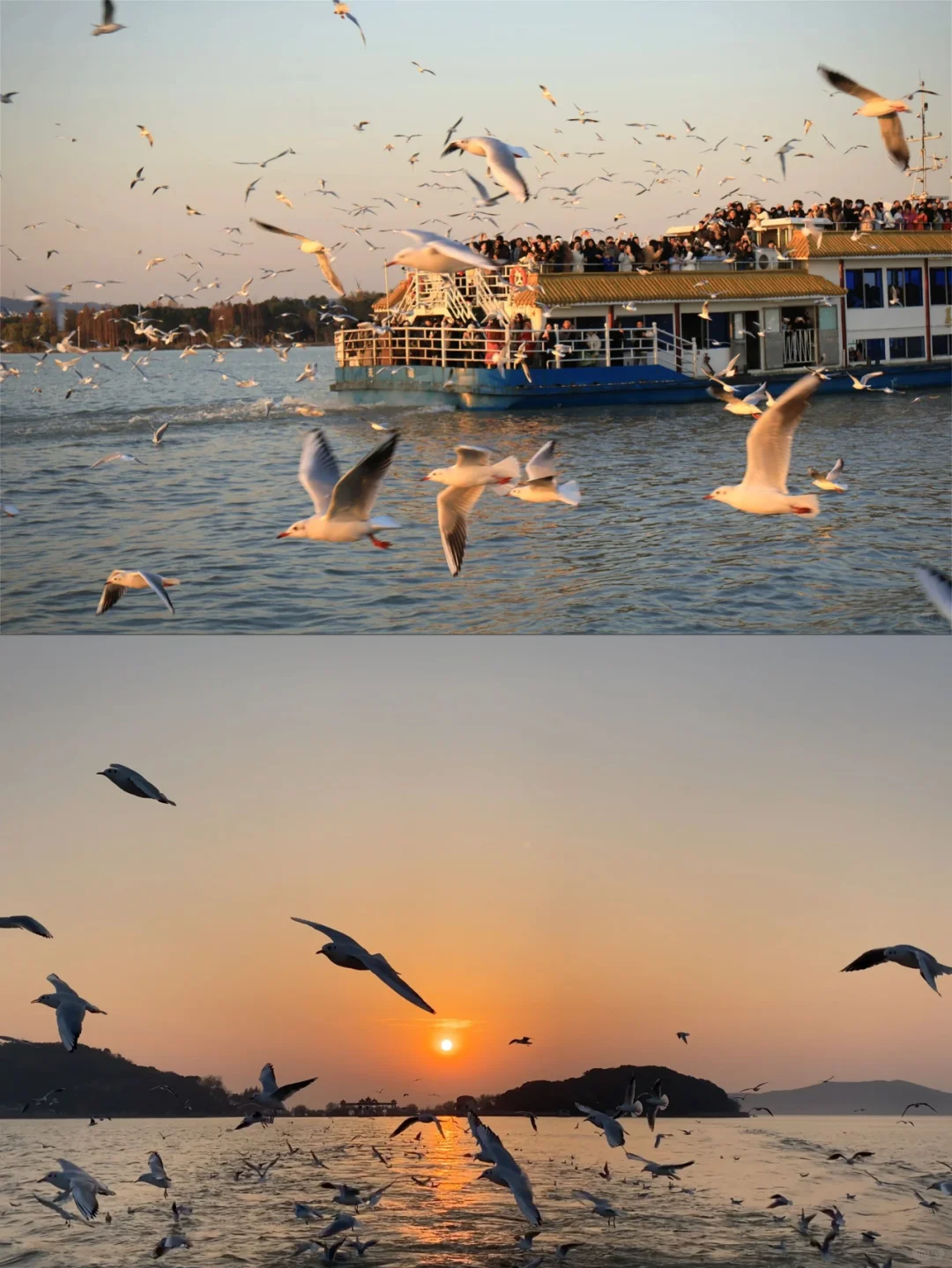 无锡周末两日游海鸥版!!美食全攻略