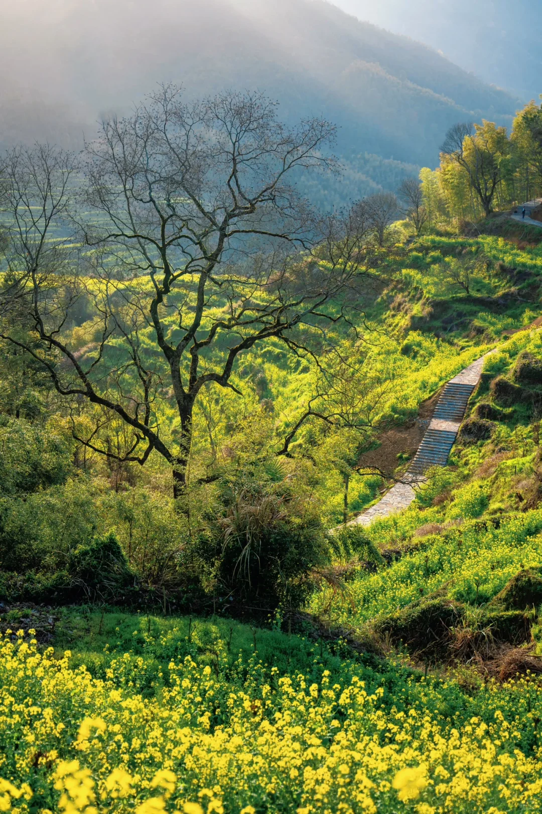 比起景德镇，我更爱这被国家地理推荐的小城