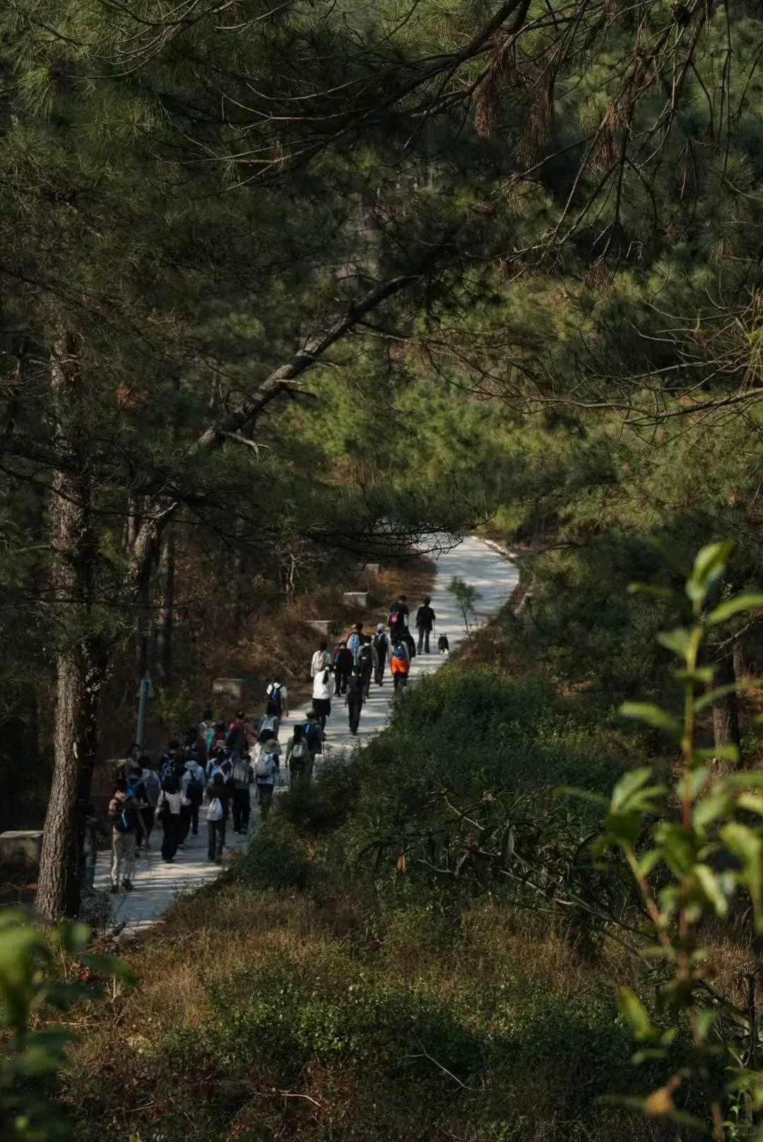 龙抬头，带狗狗拜财神，登缥缈峰