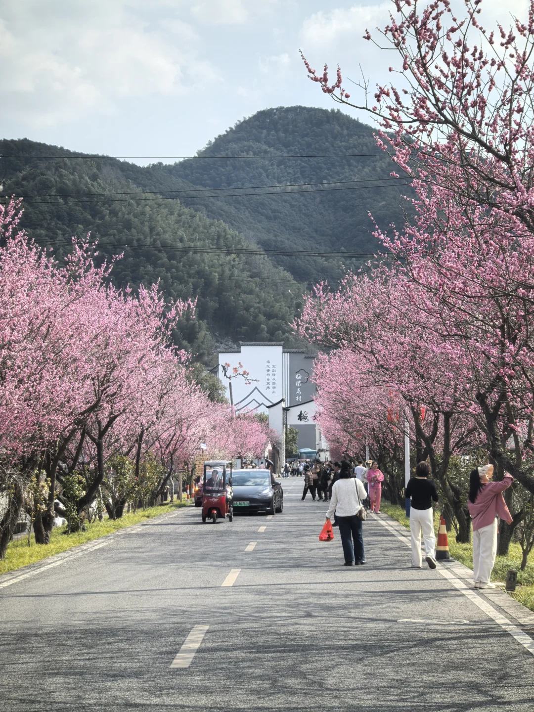 浙江绍兴|柯桥香雪梅海