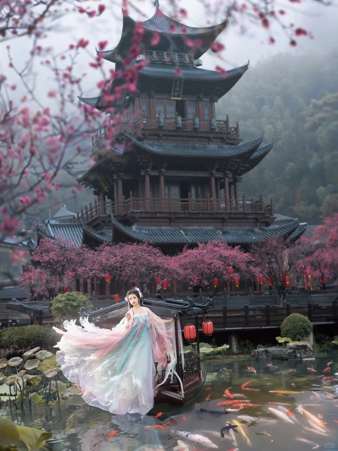 “风有约，花不误”仿佛来了梅花乡