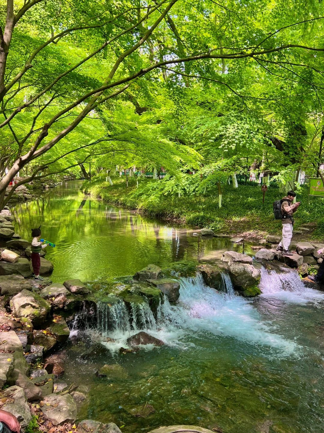 以为西湖已经够美了，直到我去了…🌿