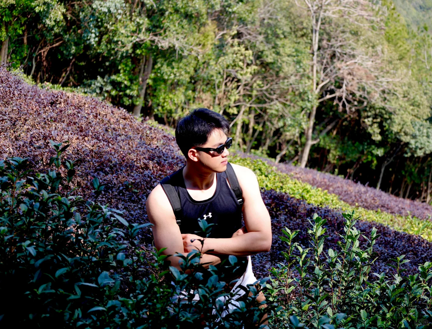 吸绿吸氧日常🍃