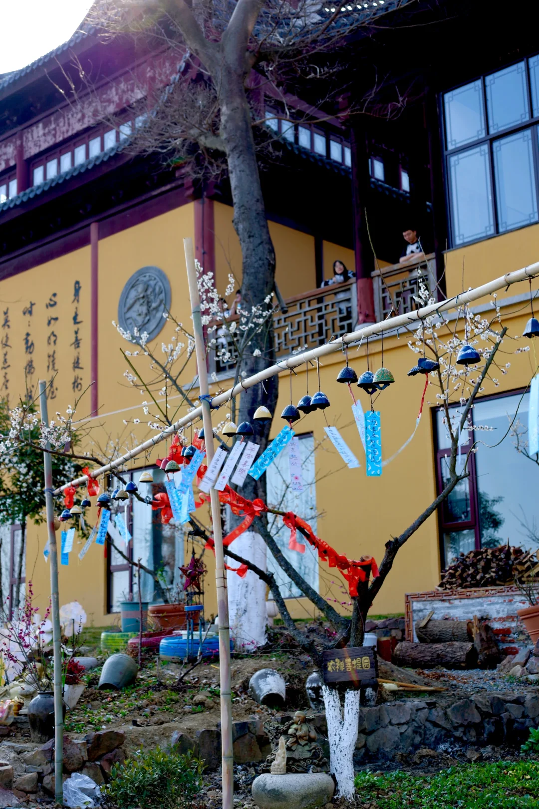 吸绿吸氧日常🍃