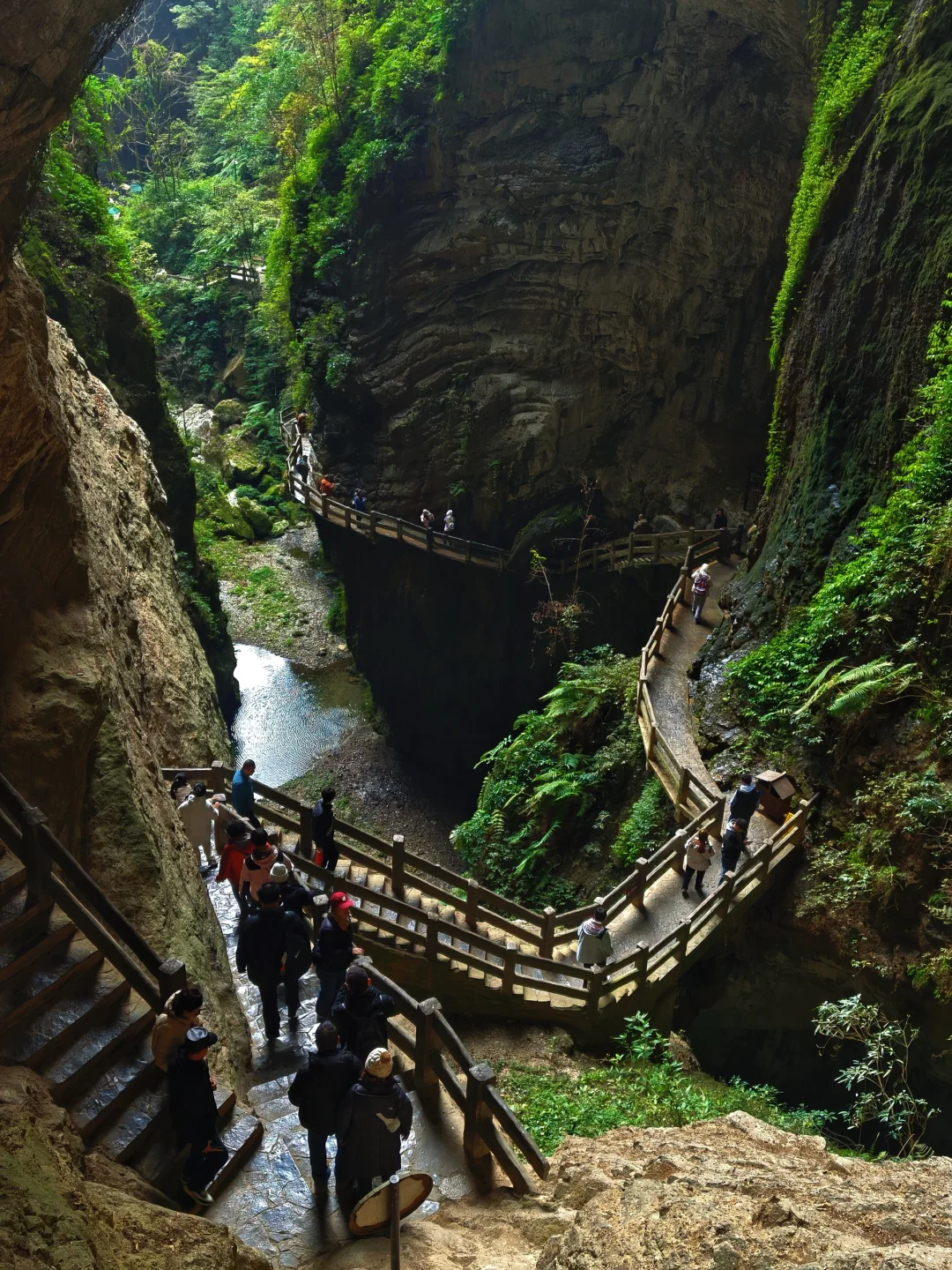 三月想去重庆旅游的宝子看过来!🍲