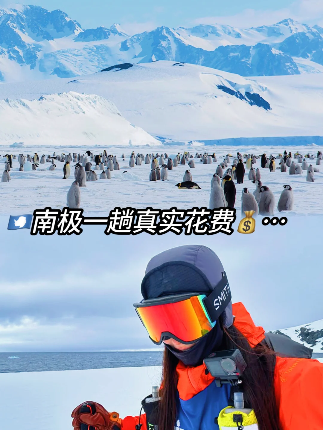 南极没想象中那么贵！去一趟真实花💰费清单