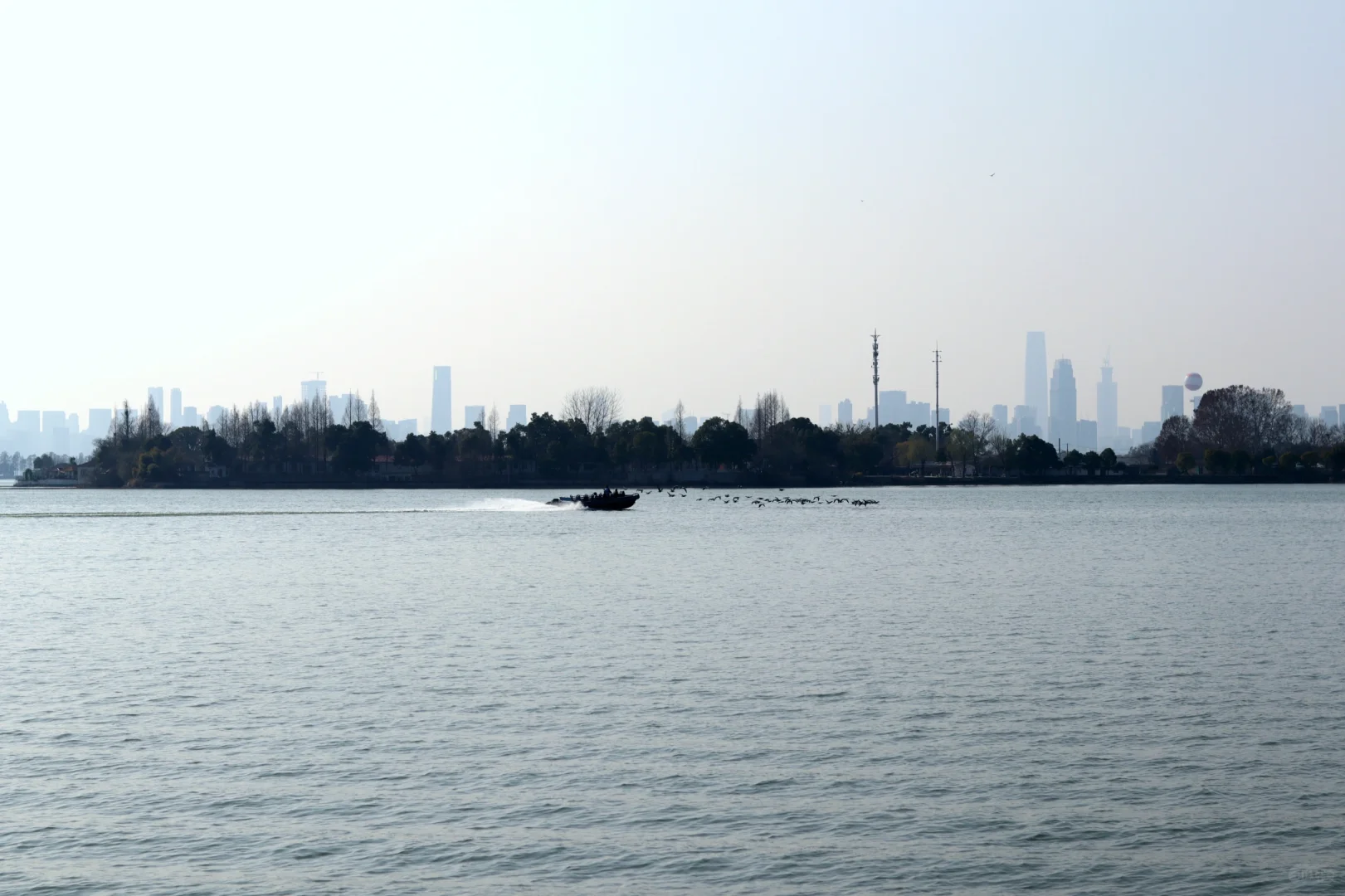 在东湖落雁寻找武汉的春天