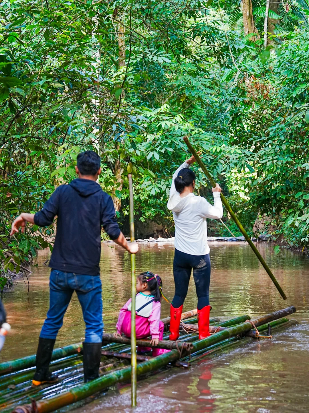 普洱和版纳已回，还没来的姐妹，挺点大实话