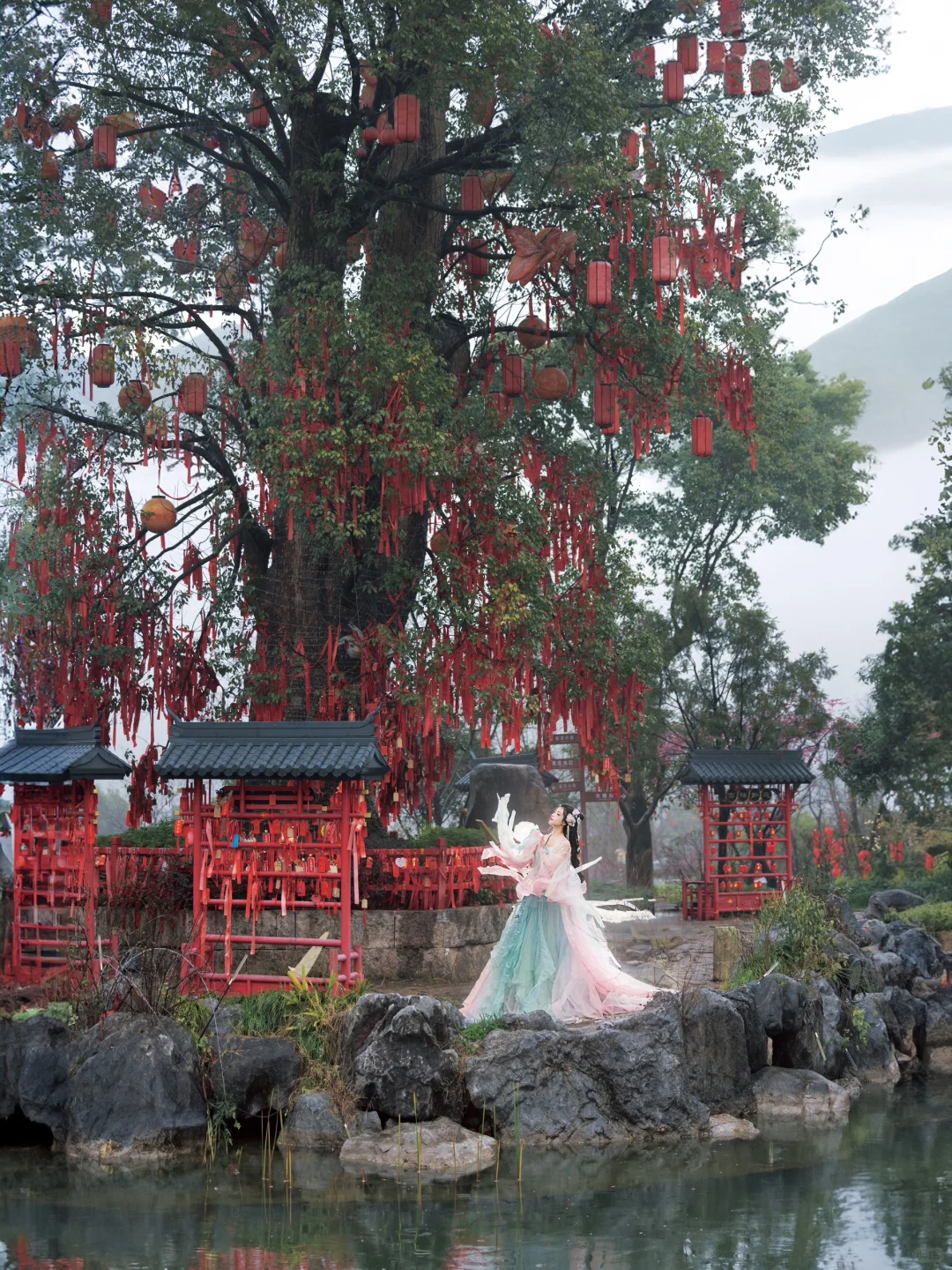“风有约，花不误”仿佛来了梅花乡