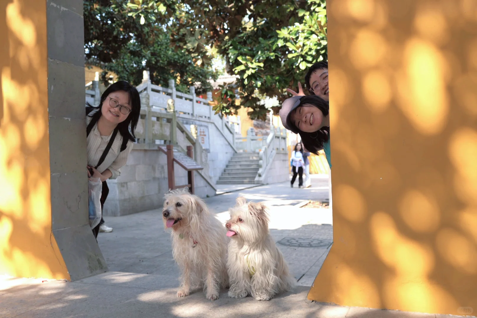 龙抬头，带狗狗拜财神，登缥缈峰