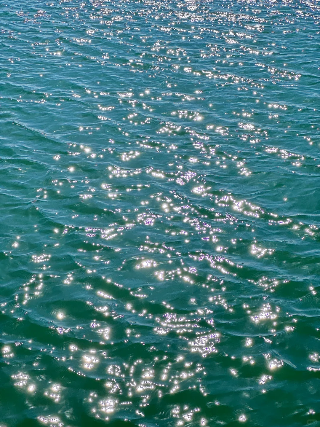 上周日的颐和园真的美晕了