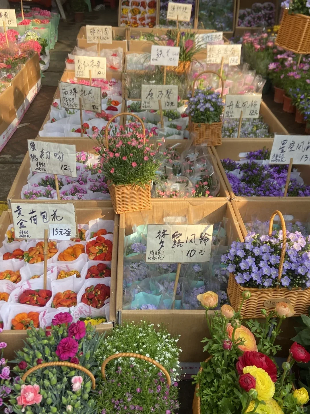 写给3-4🈷去广州的姐妹们，快进来听劝