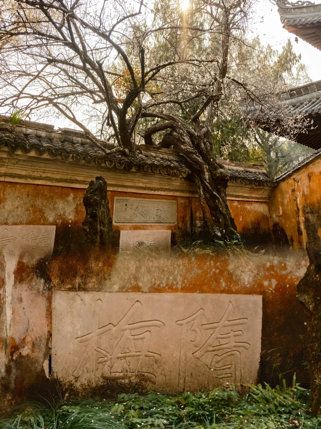 周末出行——天台山