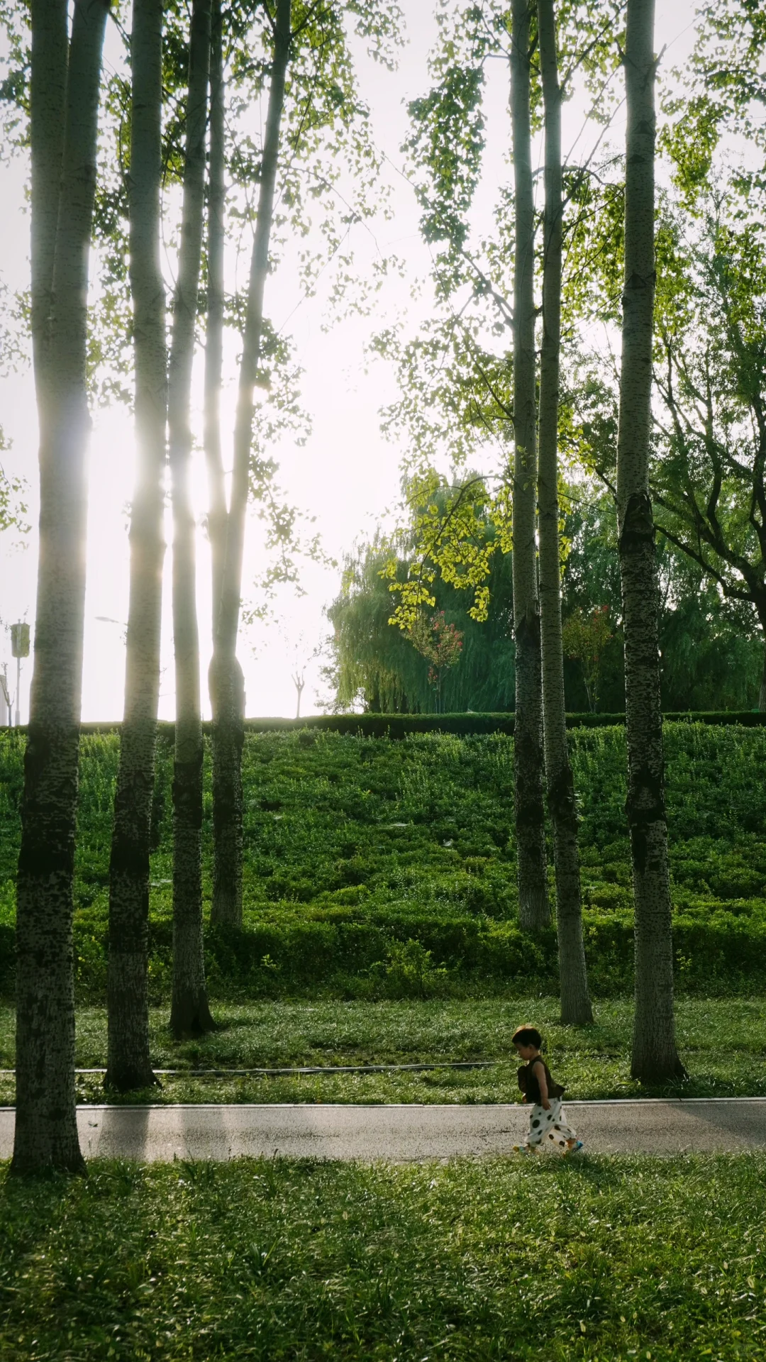 为了这18张图去了趟山东临沂……（附机位📍