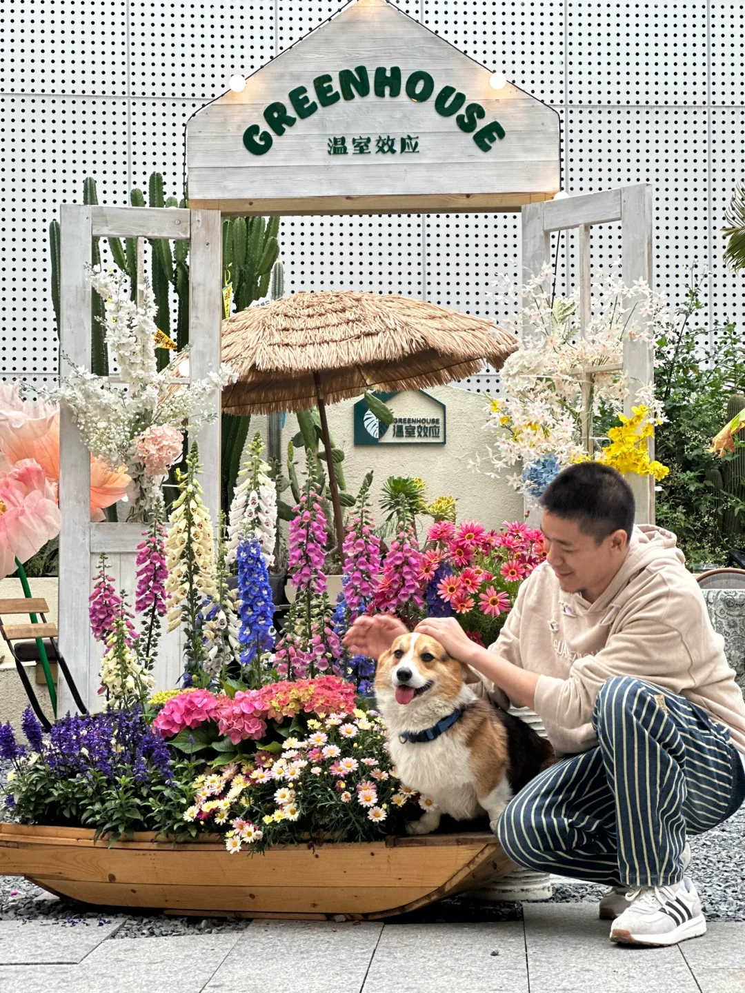 旅游攻略🎫广州华南植物园门票！可当现金用！