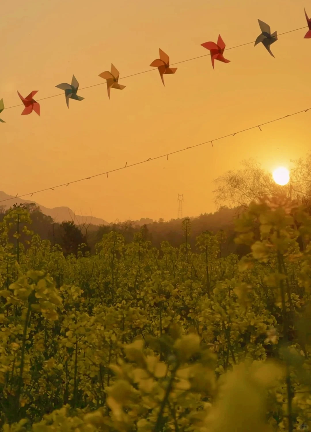 比起景德镇，我更爱这被国家地理推荐的小城