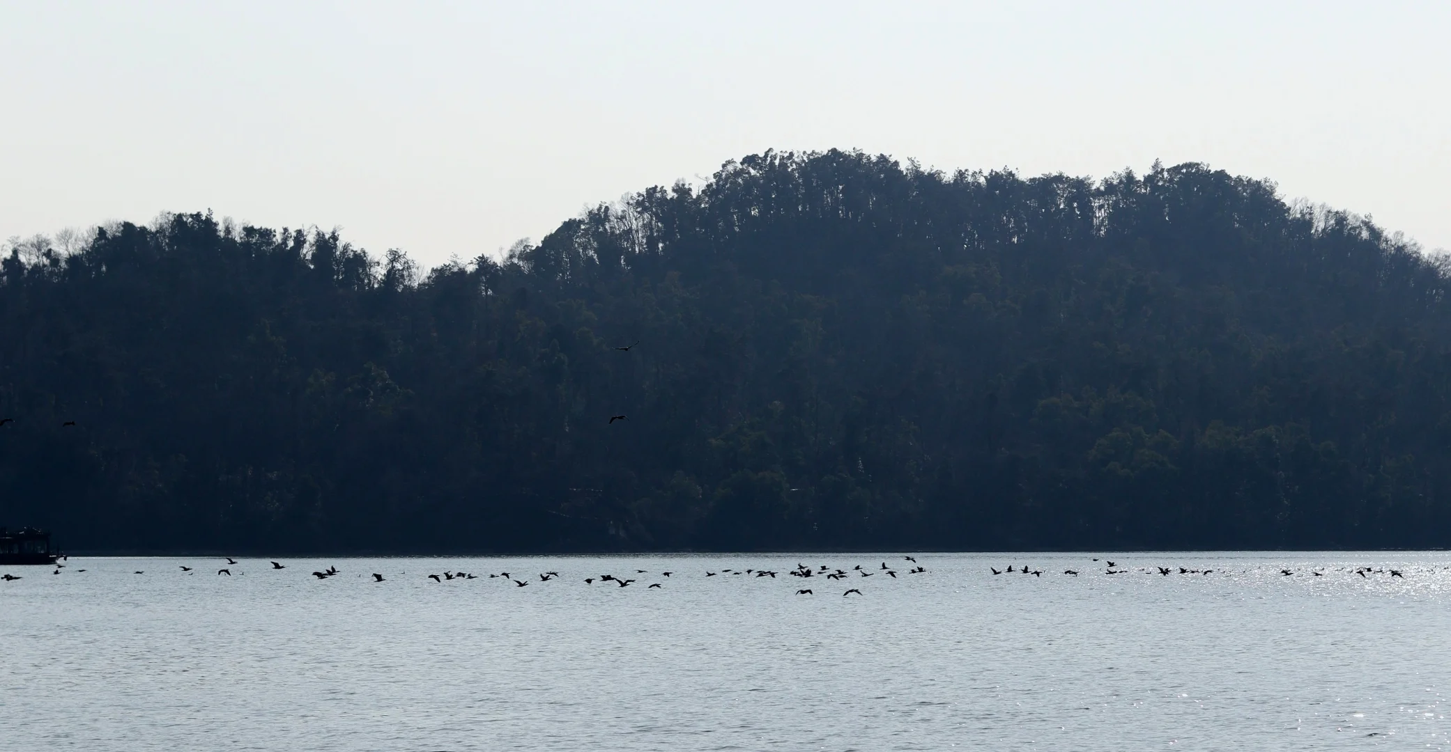 在东湖落雁寻找武汉的春天