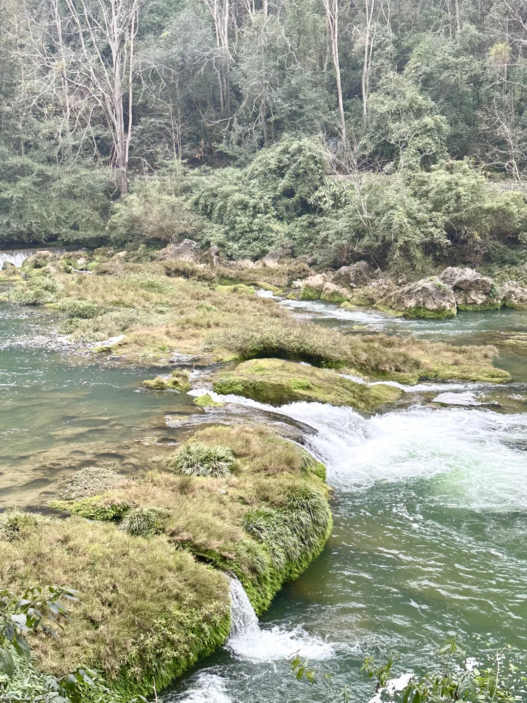 总要看一遍课本里的黄果树大瀑布吧