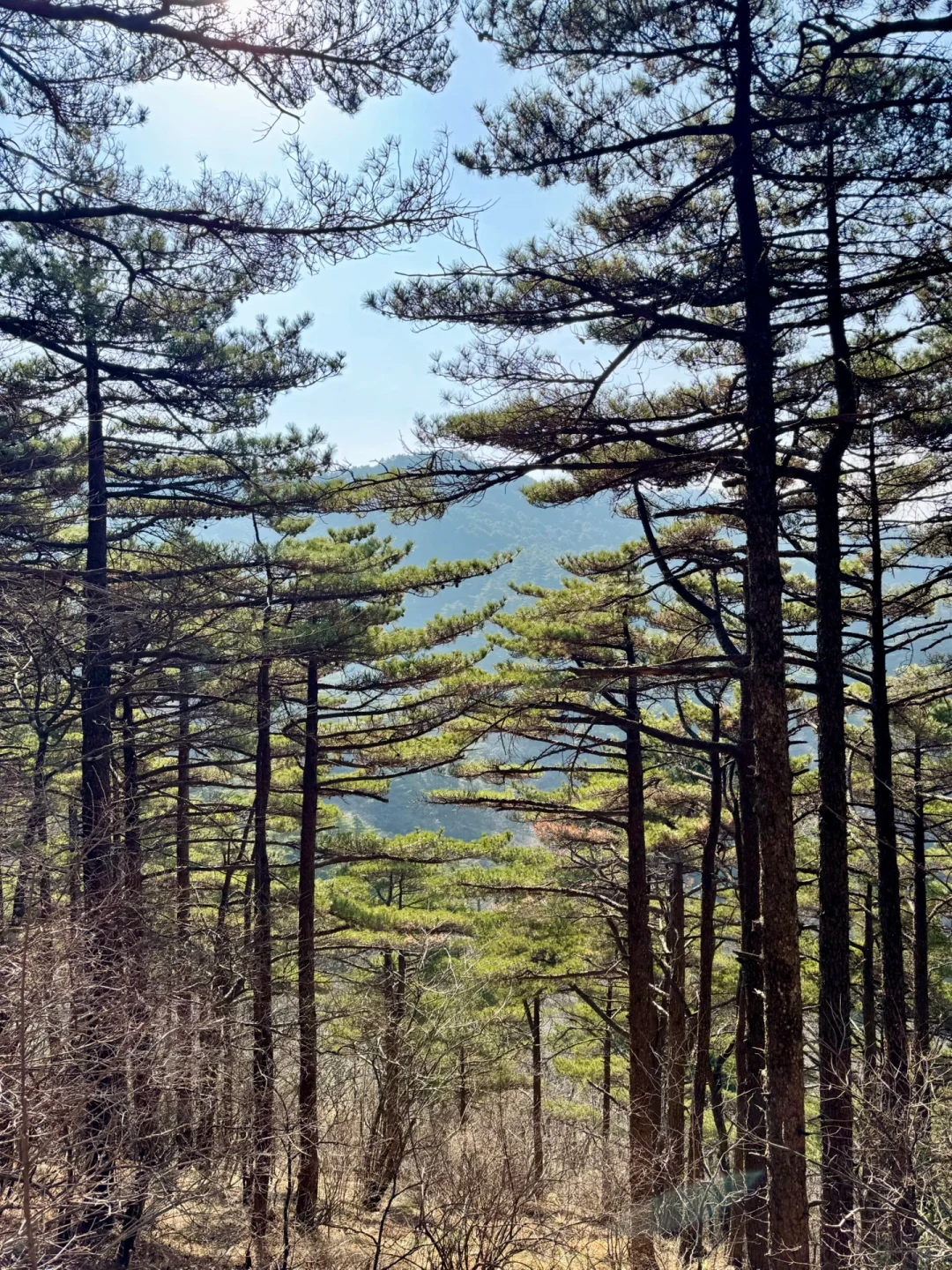 徐霞客我下次还信你！黄山的落日初雪和星星