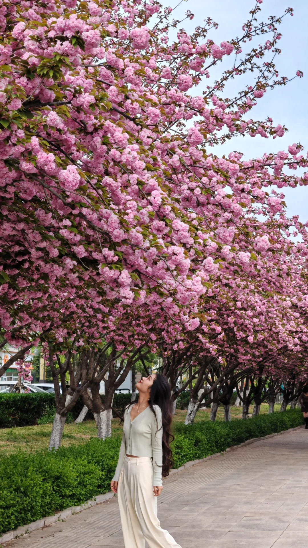 为了这18张图去了趟山东临沂……（附机位📍