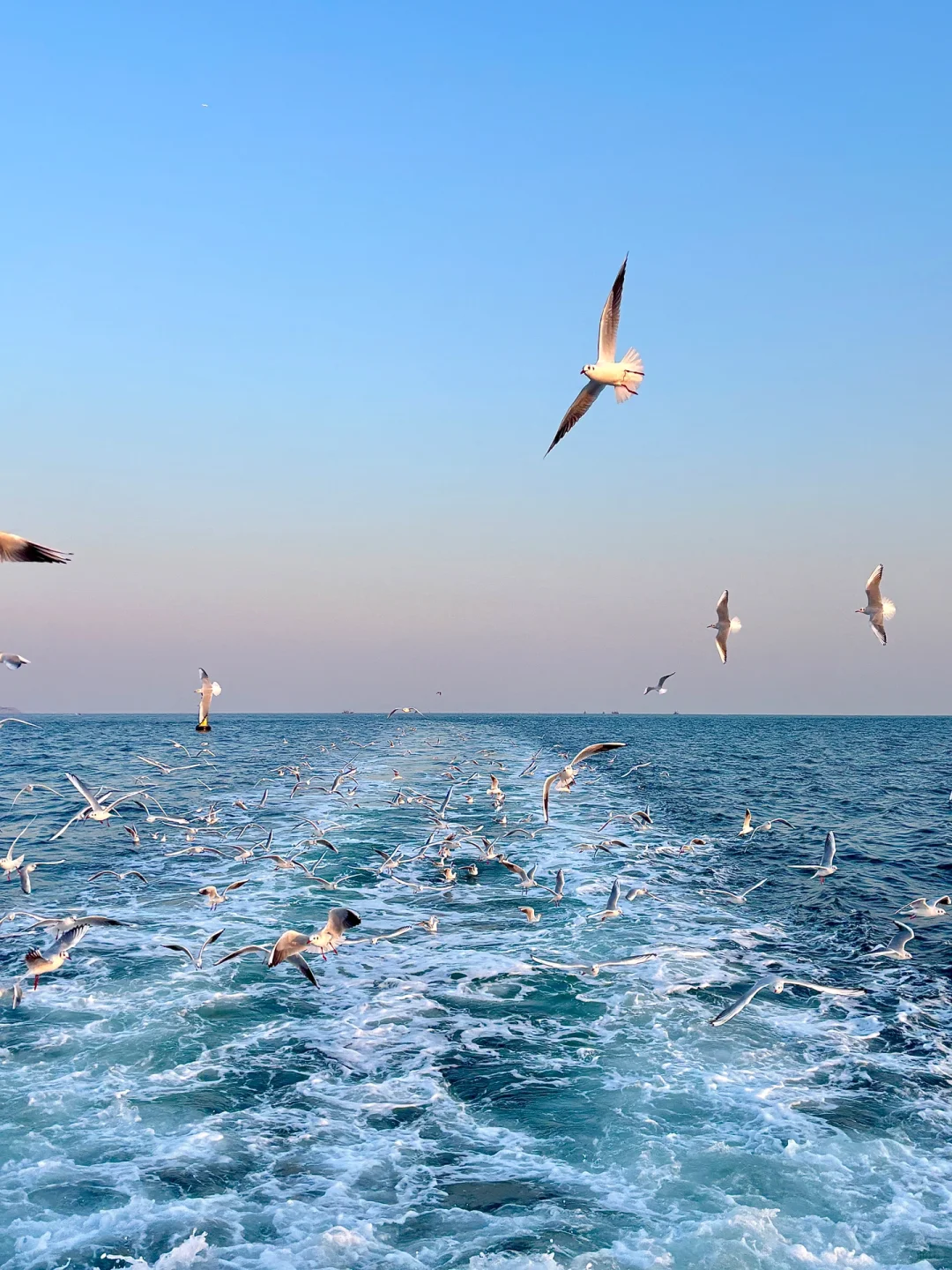 青岛三天超顺路线！！好吃好玩不到500块…..