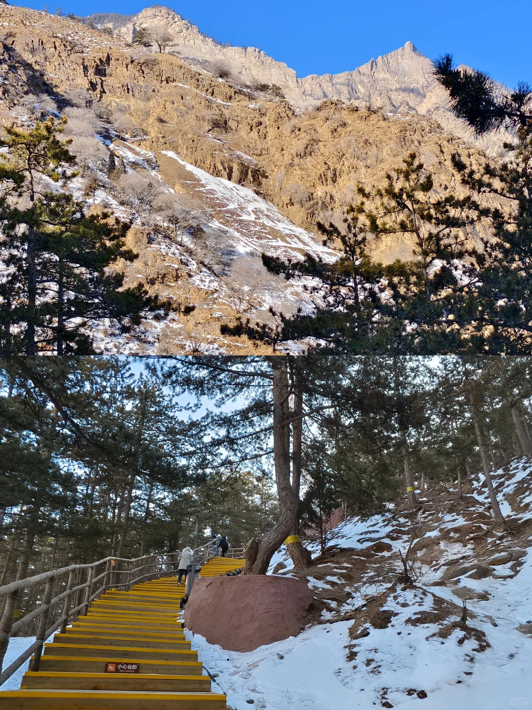 🚌景区直通车直达｜贺兰山国家森林公园