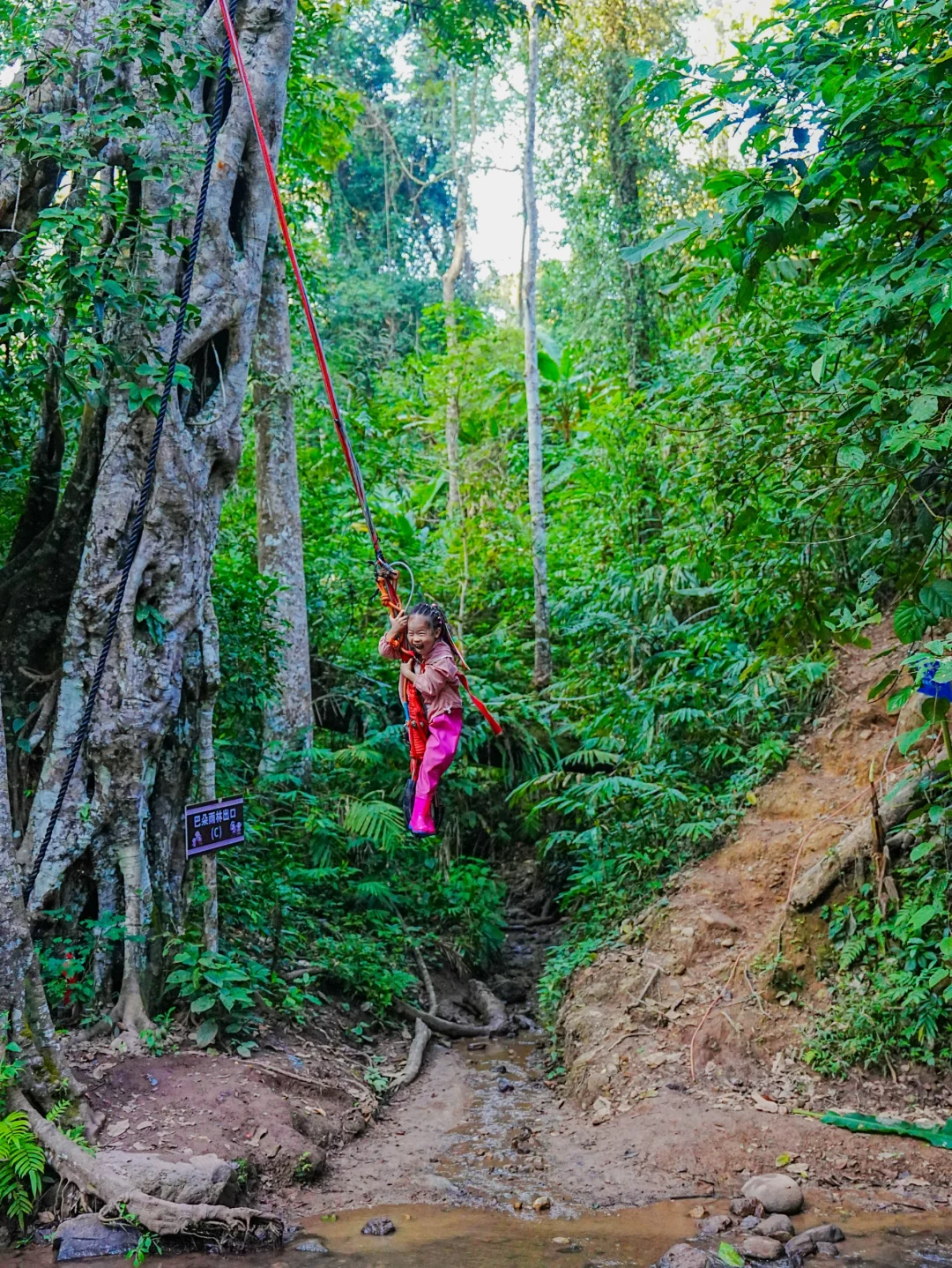 普洱和版纳已回，还没来的姐妹，挺点大实话