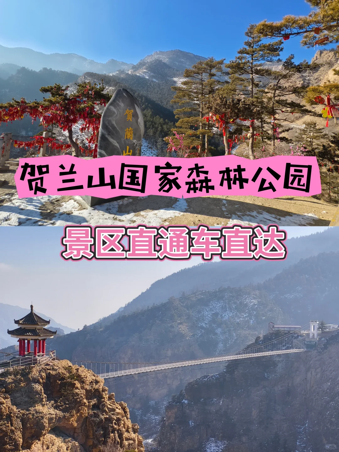 🚌景区直通车直达｜贺兰山国家森林公园