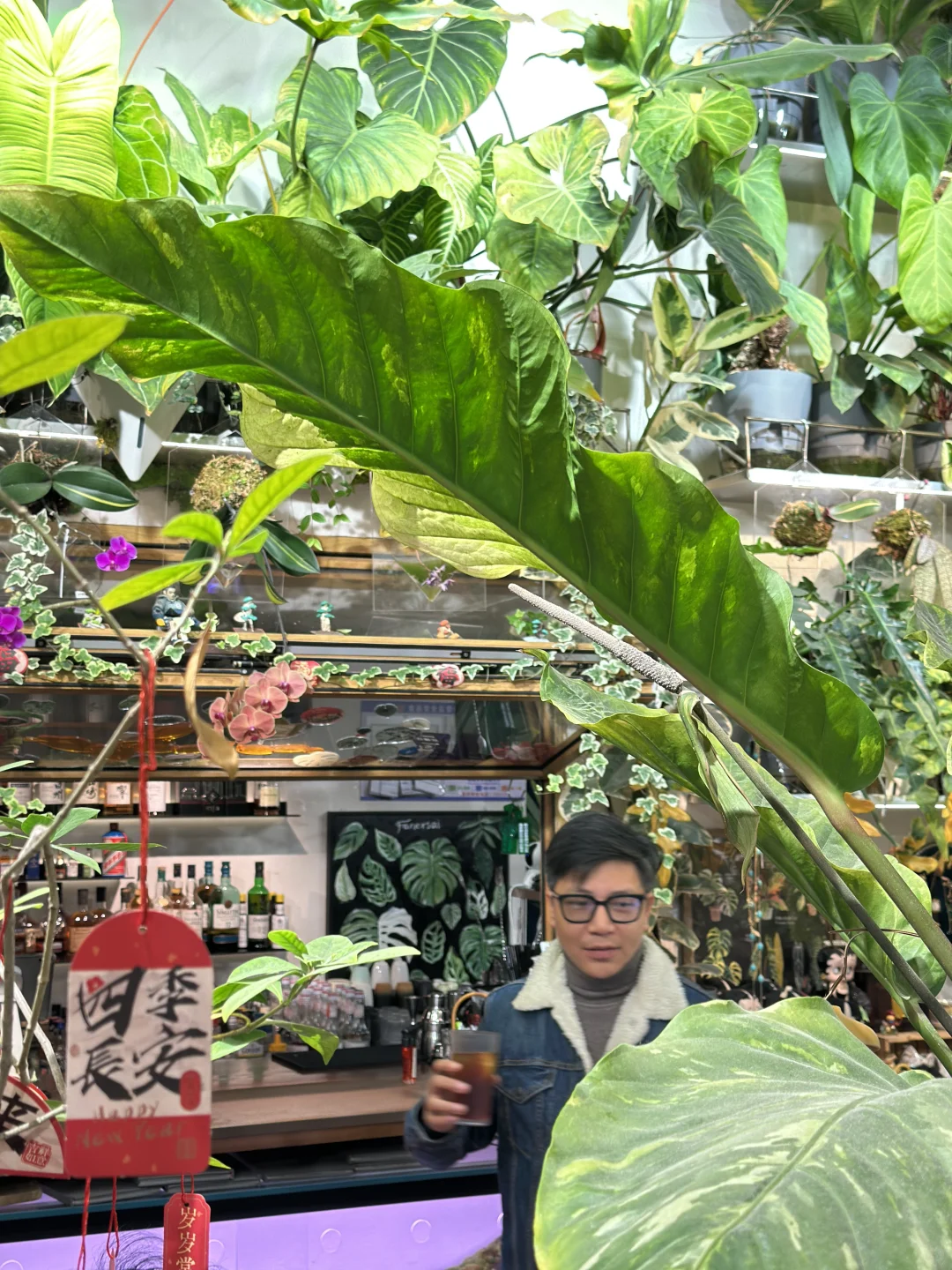 旅游攻略🎫广州华南植物园门票！可当现金用！