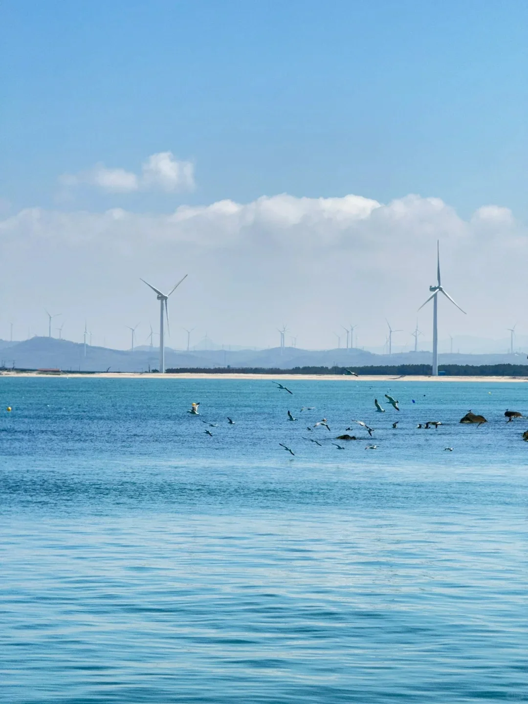 📍威海/三天两夜精华版旅游攻略❗️