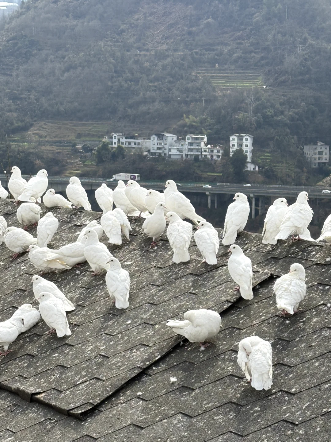 西安－紫阳换个IP过周末，人均200躺平式旅游！