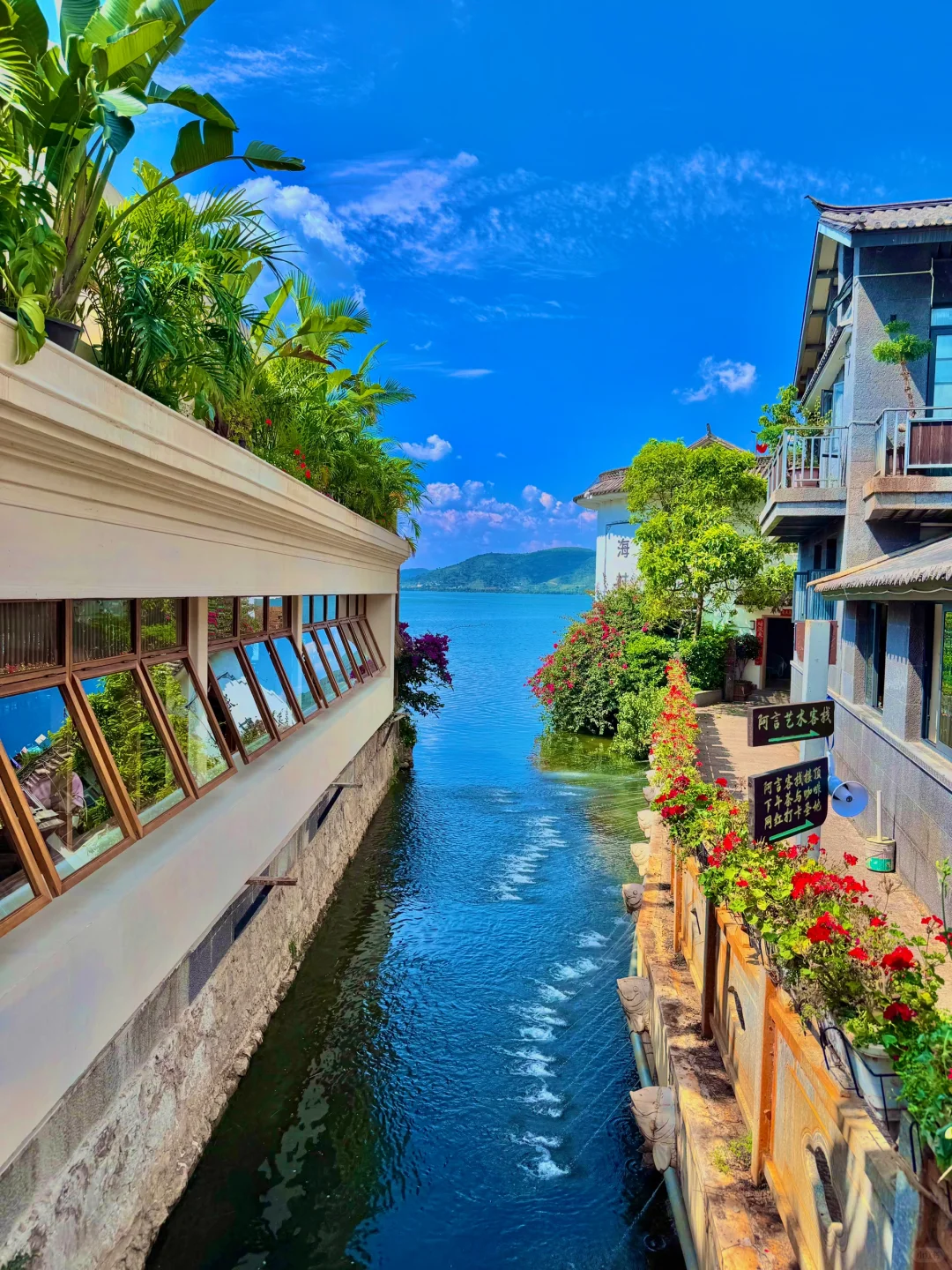 淡季的大理简直是人间理想！！美到封神！！！