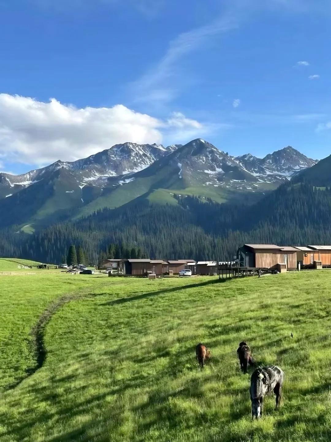 强烈建议来新疆一定要至少住一晚景区！！