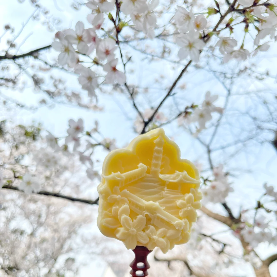 鼋头渚樱花季总结：一个普通游客的真心话