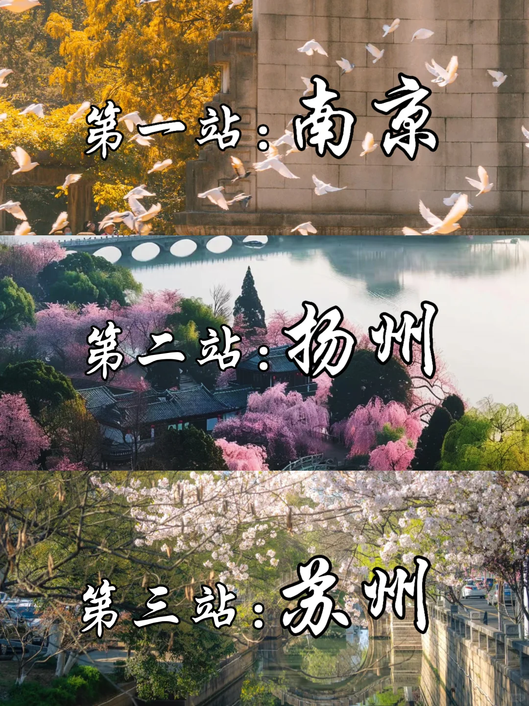 接下来的江浙沪❗堪称国内春日旅行天花板