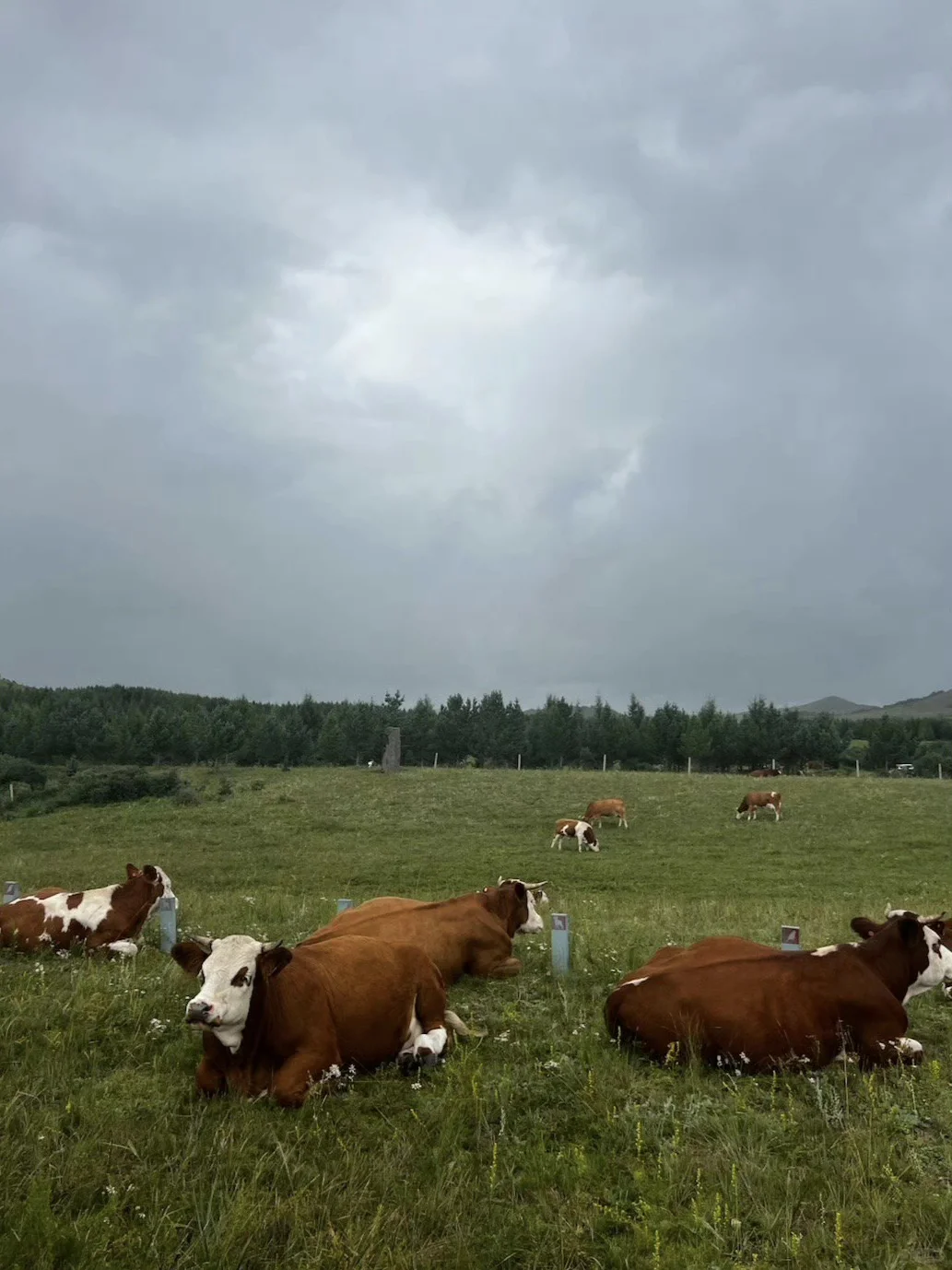 乌兰布统3天2夜丨草原、湖泊、峡谷一键打卡