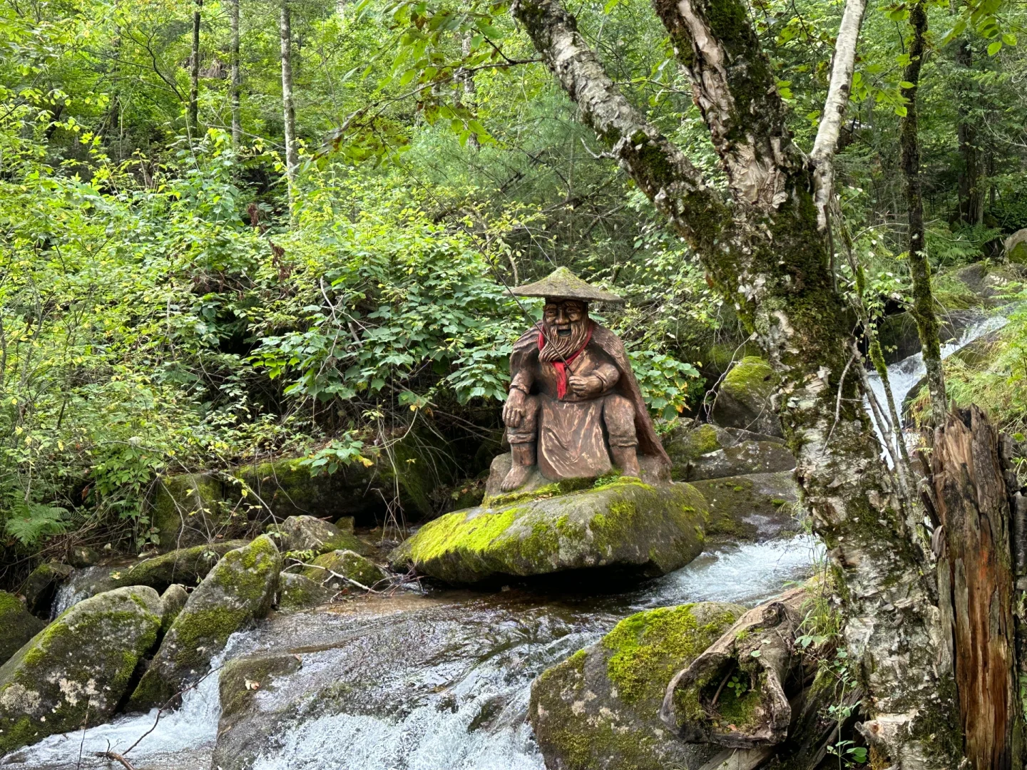 🌲哈尔滨周边小众避世秘境天花板