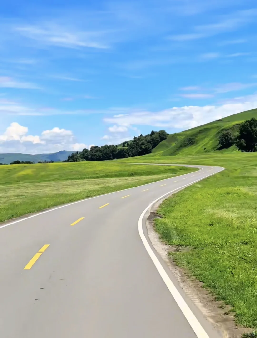 别再问新疆草原值不值得去了看完直接订票✈️