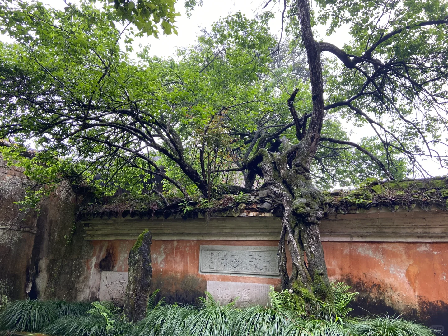 台州五日游攻略｜山海诗篇佛宗道源天台山